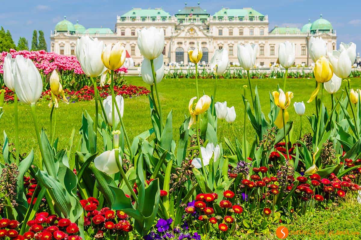 CRUCEROS FLUVIALES DANUBIO WIEN CRUCEROS VIENA CRUCEROS FLUVIALES DANUBE RIVER CRUISES VIENNA AUSTRIA VIATGES CREUERS BIDAIAK CRUCEROS CROCIERE DANUBIO #Danubio #Viena #CrucerosFluviales #Wien #ViennaCruises #CrucerosFluviales #Belvedere #RiverCruises